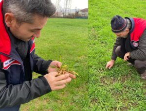 Düzce’de 2026 Üretim Sezonu İçin Fenolojik Gözlemler Devam Ediyor