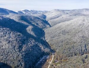 Düzce’de Kar Etkisini Gösterdi: Yaylalar Beyaza Büründü