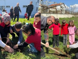Yığılca’da Minik Eller Fidanları Toprakla Buluşturdu