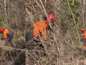 Ormanda Ekmek Mücadelesi: Ayşegül Köse’nin Hikayesi Yürek Burktu