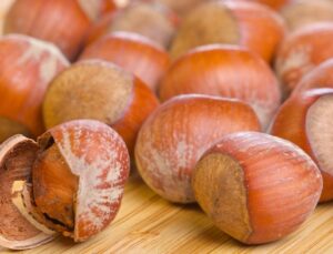 Düzce’de Fındık Fiyatları Düşüşte: 18 Nisan Verileri Açıklandı