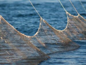 Denizlerde Av Yasağı 15 Nisan’da Başlıyor