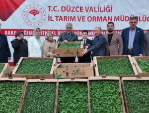 Düzce’de 300 Üreticiye 110 Bin Fide Desteği