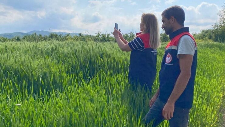 Düzce’de Uydu Destekli Tarım Arazisi Kontrolleri Sürüyor