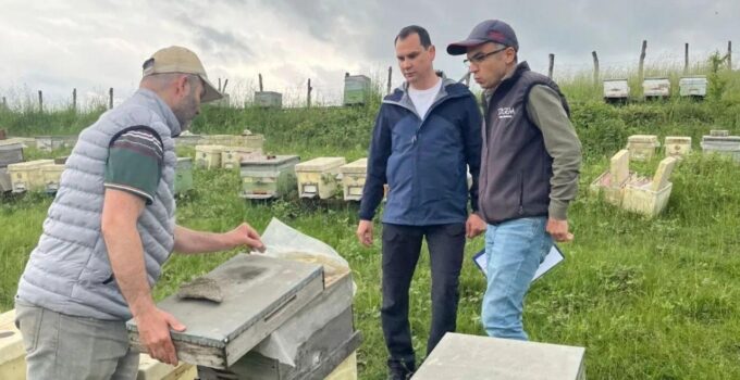 Yığılca’da Arılık Kontrolleri Gerçekleştirildi