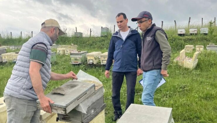 Yığılca’da Arılık Kontrolleri Gerçekleştirildi