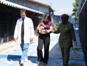 Düzce’de Hayvan Sahiplendirme Devam Ediyor
