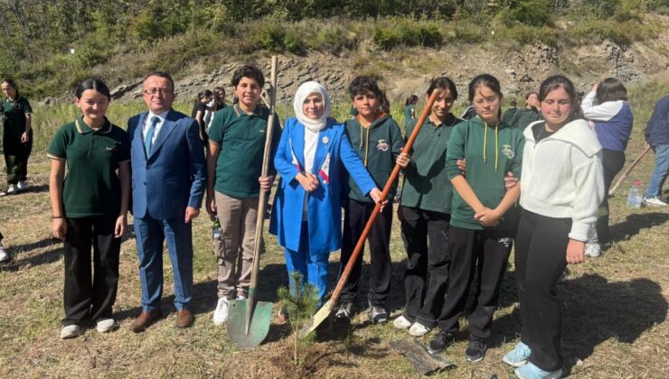 Düzce ve Kamerun’da Aynı Anda Fidanlar Toprakla Buluştu