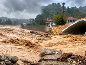 Akçakoca’da Aşırı Yağış Dereleri Taşırdı